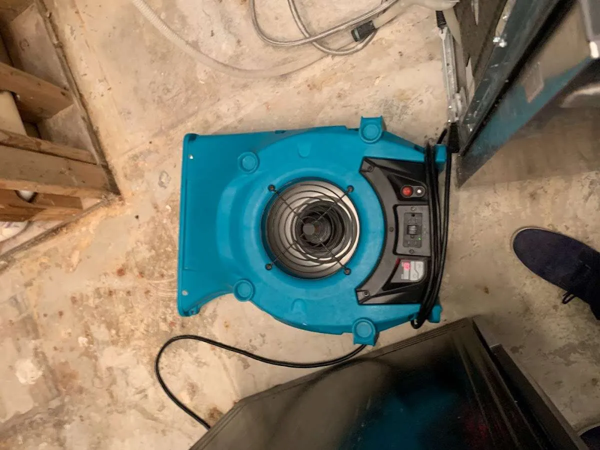 Air mover drying equipment for Mold Remediation & Removal in Marblehead